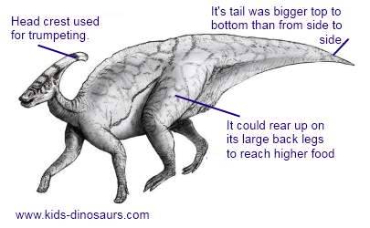 Image result for dinosaurs parasaurolophus