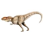 Pictures of Dinosaurs - Giganotosaurus