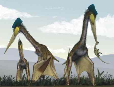 Quetzalcoatlus - an artists impression of them standing on their wings