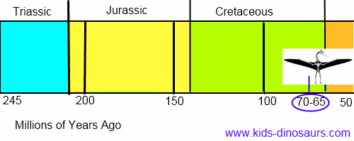 Quetzalcoatlus Timeline- when did they live?