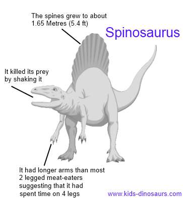 Spinosaurus facts for kids