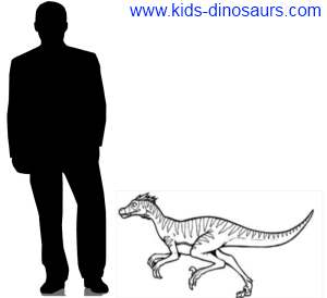 Velociraptors Size